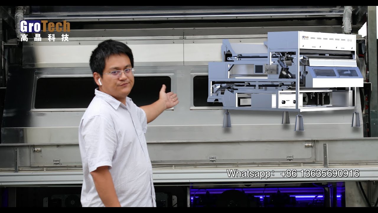 Color sorter machine for sunflower seeds, by Deep Learning，AI recognize