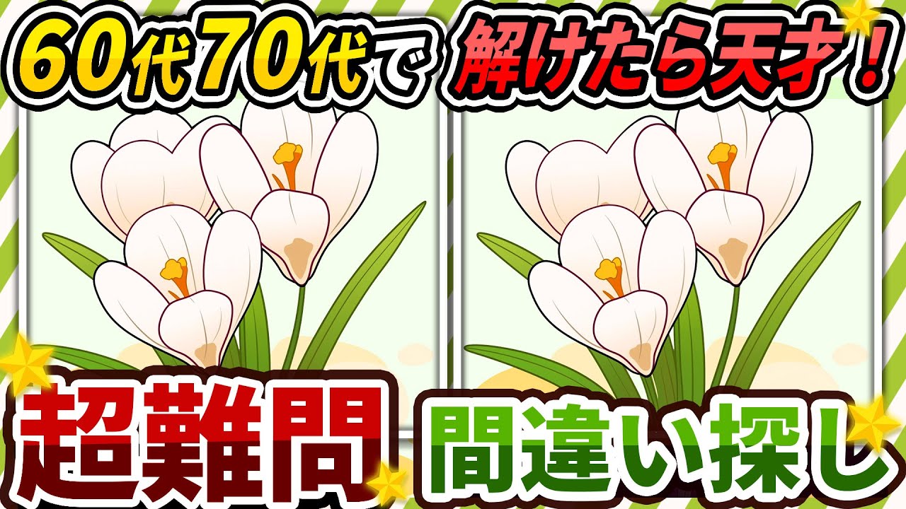 【間違い探しクイズ】⚠️むずかしいクロッカスのイラスト編！脳活＆脳トレにおススメ無料ゲーム【アハ体験有り】#208