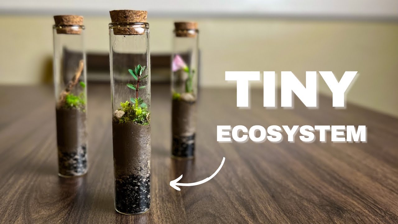 Making TINY Test Tube Terrariums