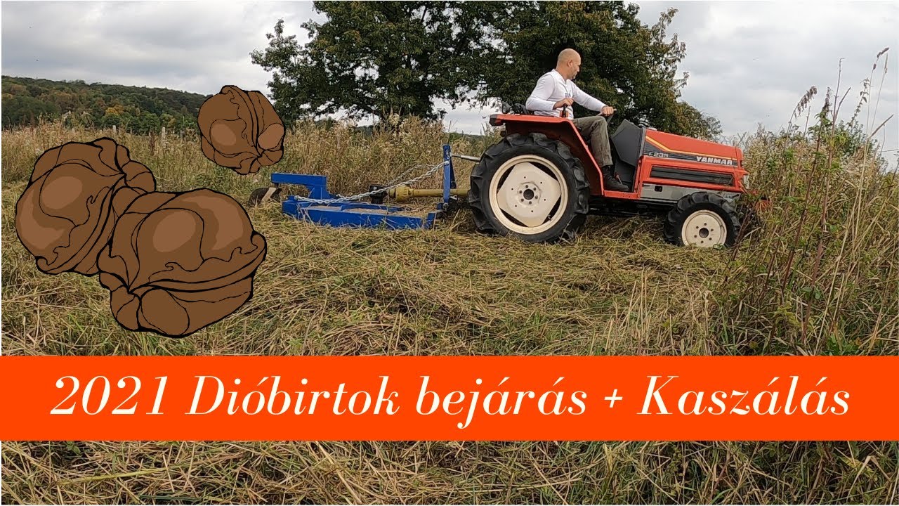 2021 Ősz!!! Hogy áll a dió, nameg kaszálás ezerrel.....