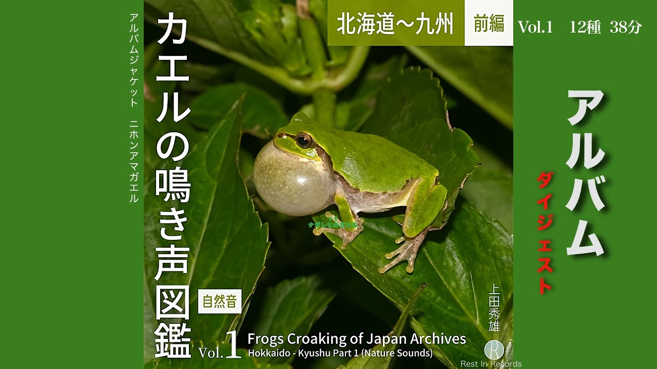 12種 カエルの鳴き声図鑑 Vol 1 北海道〜九州 前編  アルバムダイジェスト / Frogs Croaking of Japan Archives Vol.1