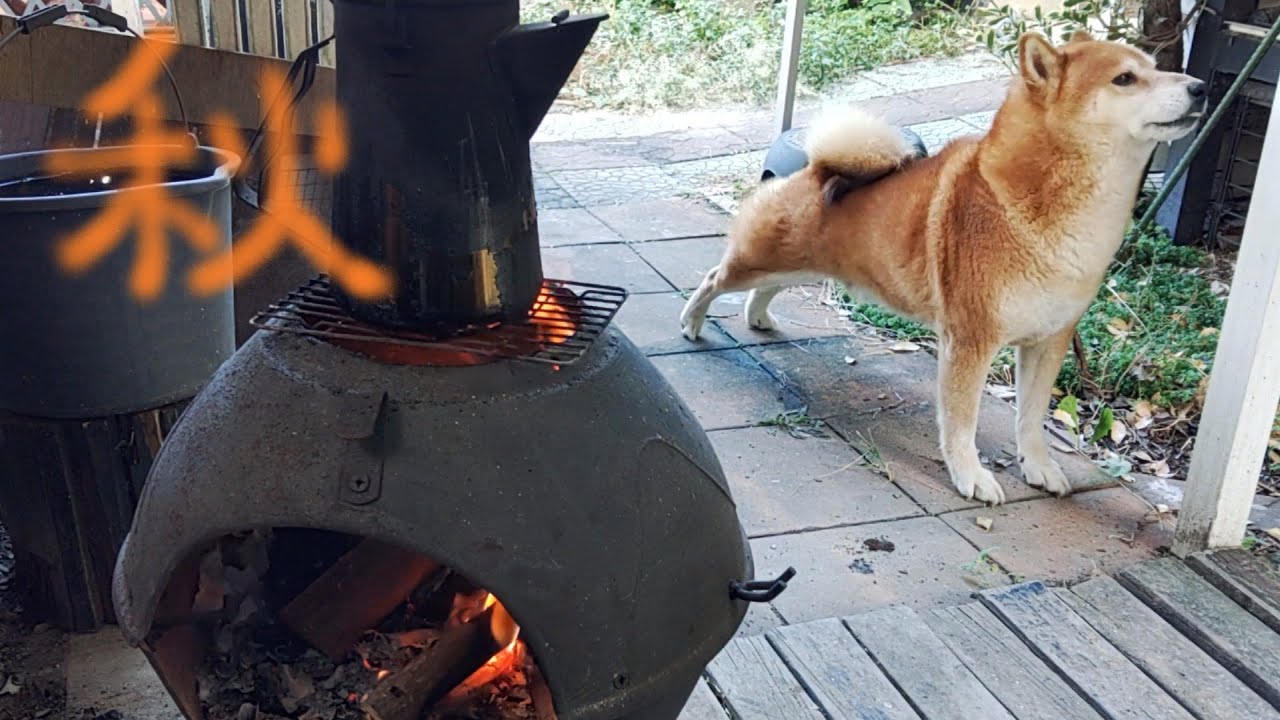 チムニーで秋を食う
