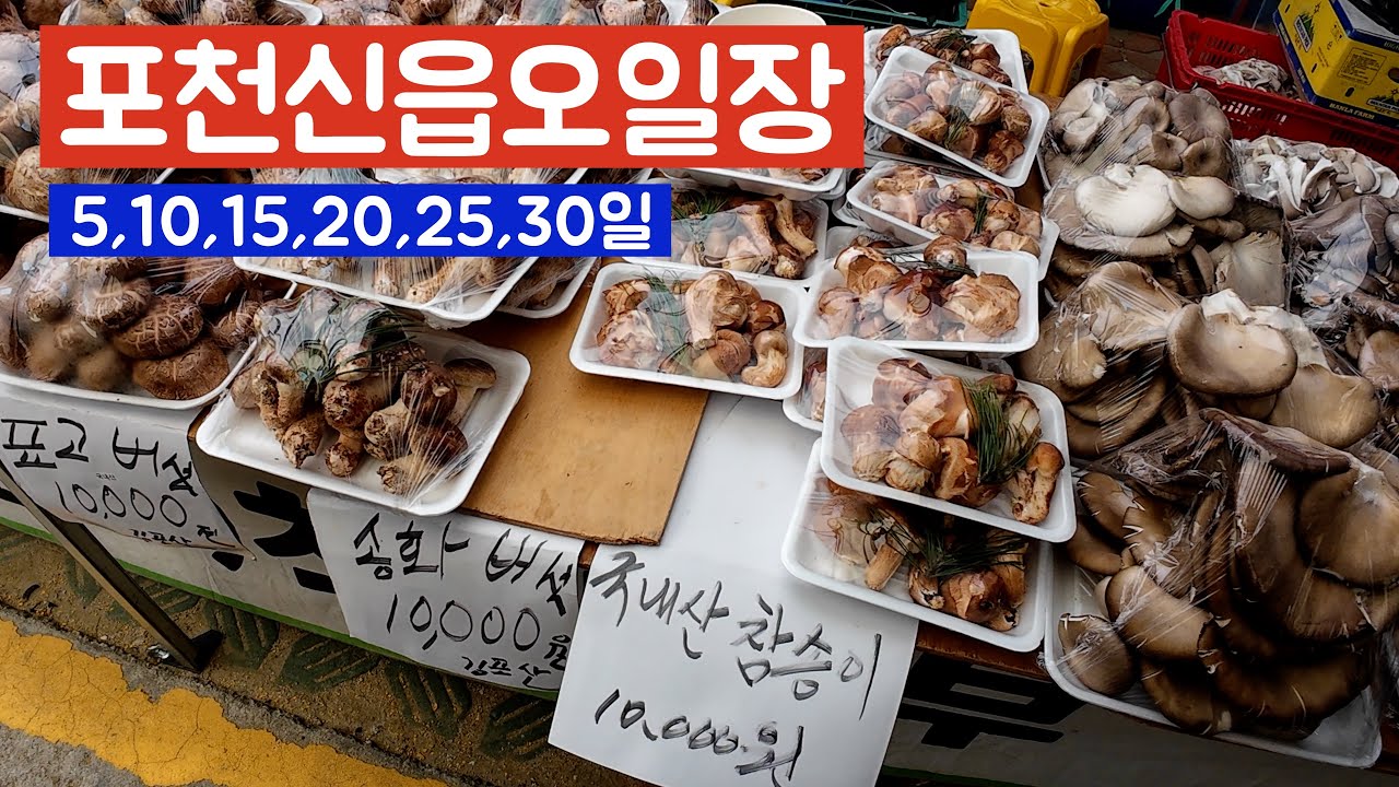 포천 신읍 오일장 #시골피디 #포천 #포천여행 #오일장 #5일장