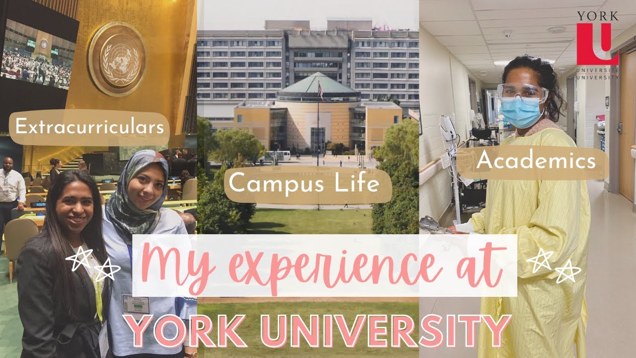 York University Experience | Everything You Need to Know