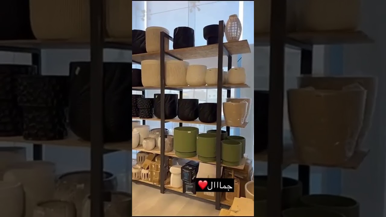 تغطية ل ( غصون وشجون ) فضلًا لايك وشترك بالقناه