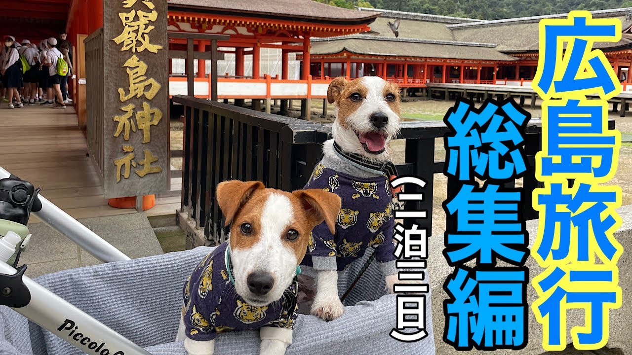 【車中泊】愛犬と広島旅行　総集編