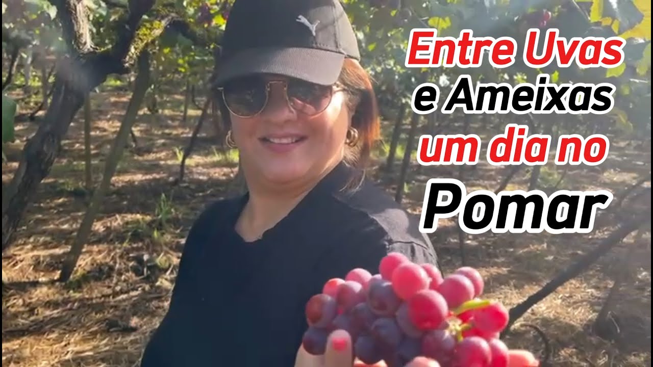 Pomar do Gringo, colhe e pague, vivemos essa experiência