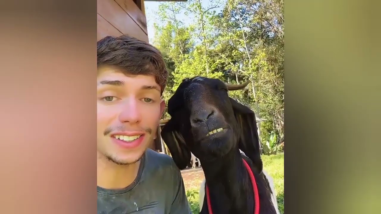 TRY NOT TO LAUNCH 😂🤣 FUNNY Compilation 🤣😂😁 Memes PART 9