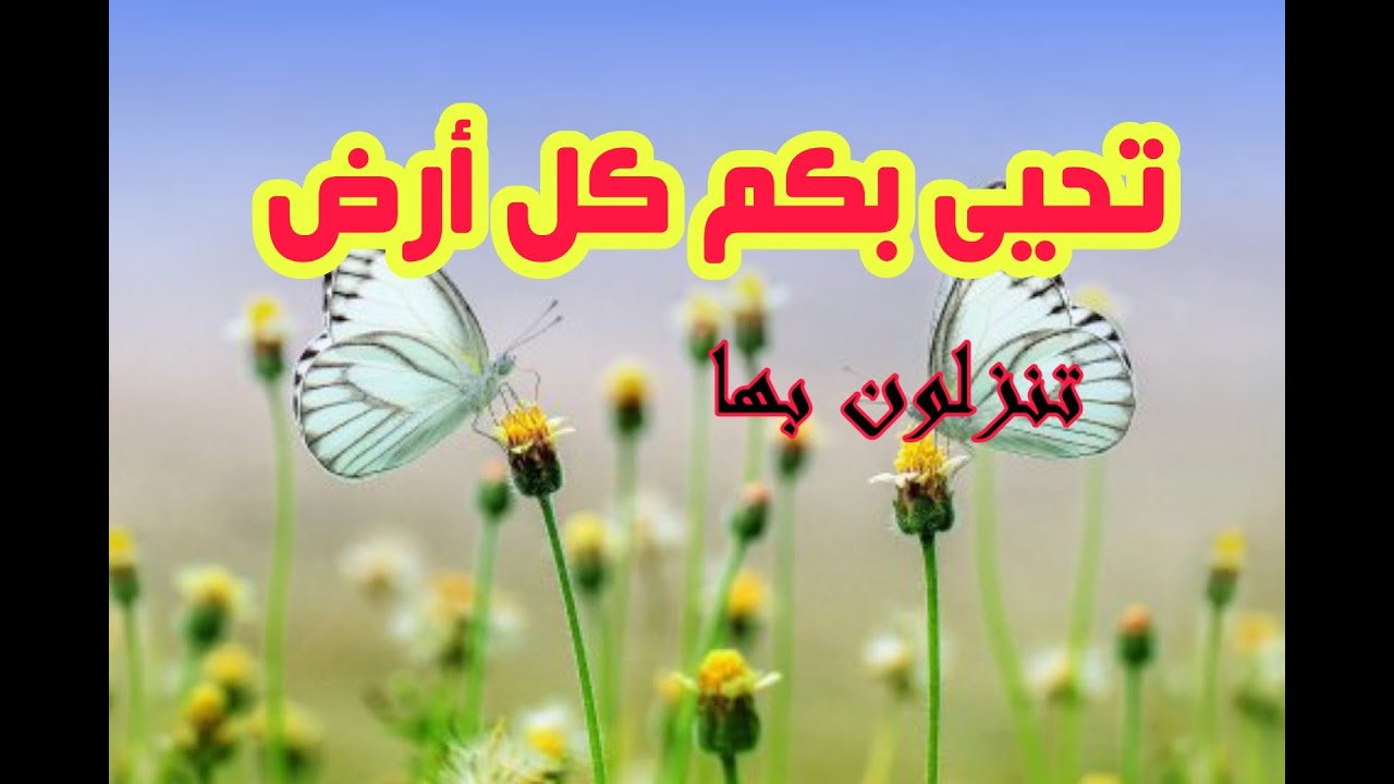 تحيى بكم كل أرض تنزلون بها