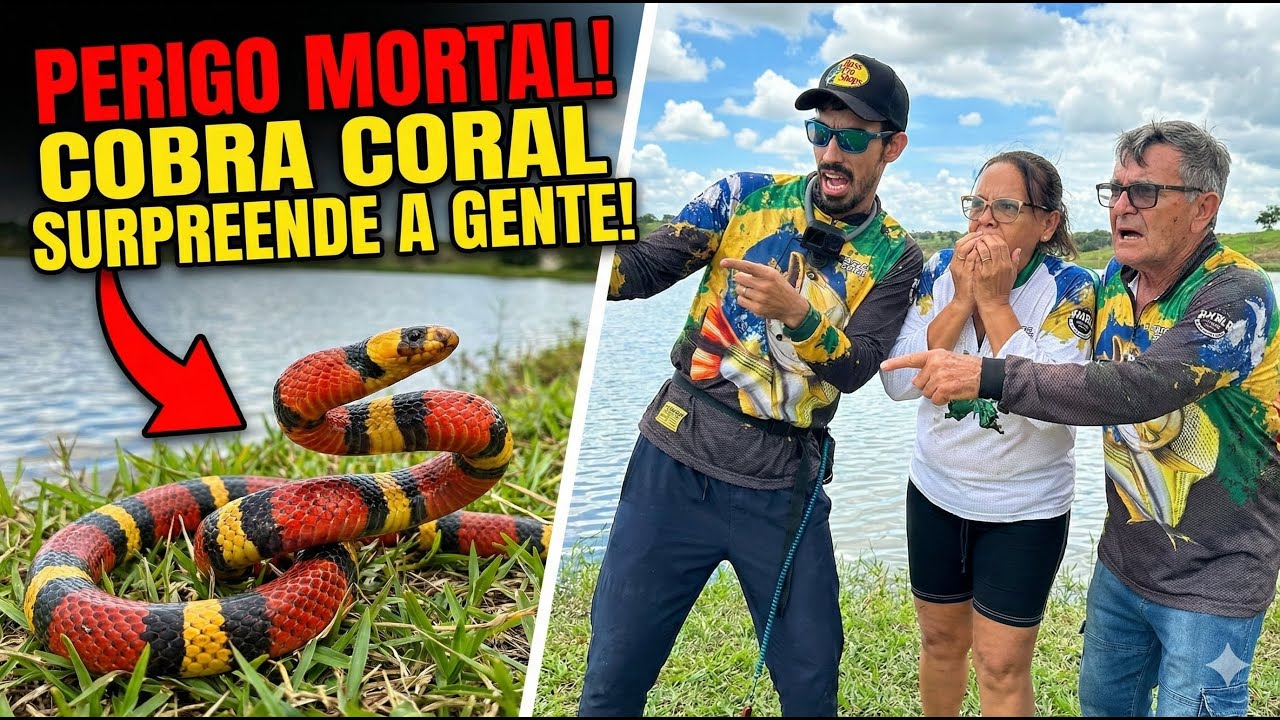 SUSTO: UMA COBRA CORAL NO PÉ DO MEU PAI! 🐍 + Muita Ação na Fazenda Pacu