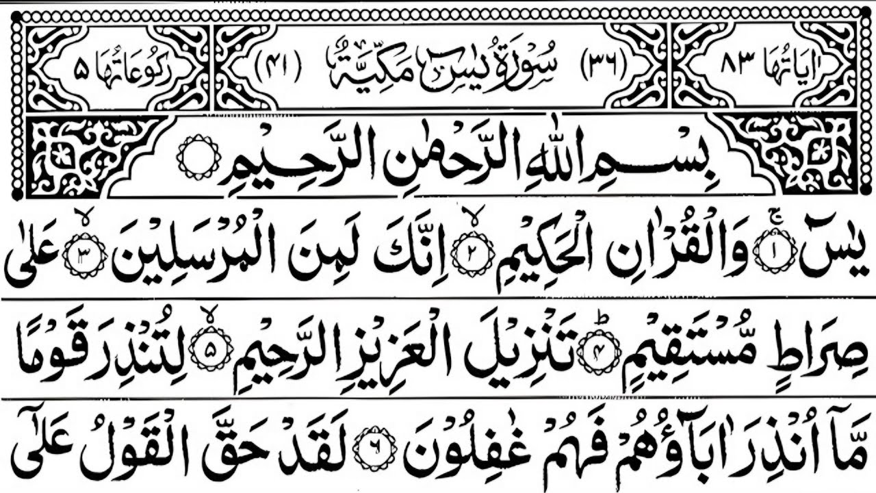 Surah Yaseen Surah Rahman Full || beautiful quran recitation || best quran tilawat 