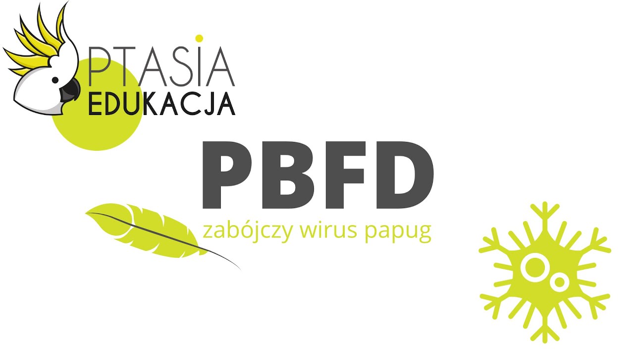 PBFD - Choroba dzioba i piór