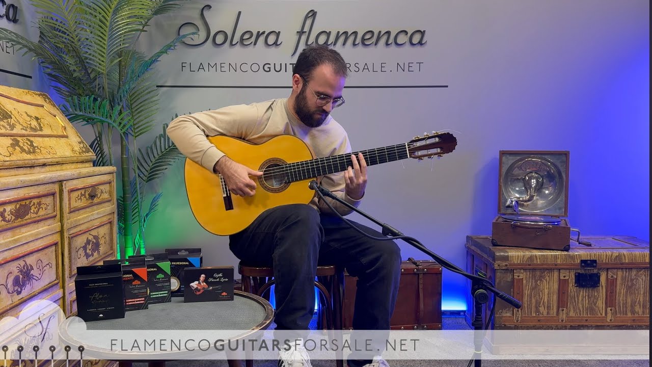 Manuel Reyes 2024 flamenco Guitar for sale played by Toni Abellán