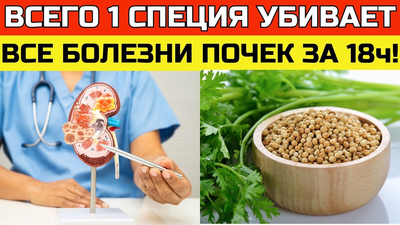 Эта специя очищает почки лучше любых лекарств и быстро выводит токсины | ЗДОРОВЬЕ ПОСЛЕ 50