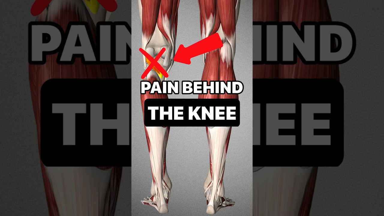 Pain Behind The Knee ⚠️ This Is The Cause 🫢