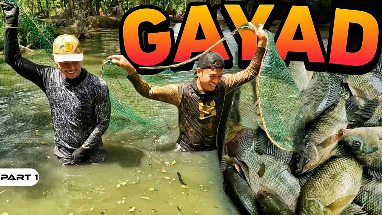 P1 - Paggayad ng Palaisdaan - EP2050