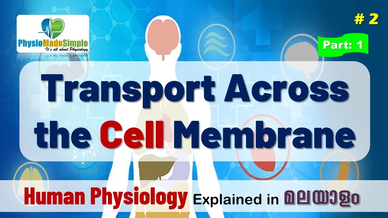 Ep.2 | Transport across the cell Membrane in Malayalam | Part - 1