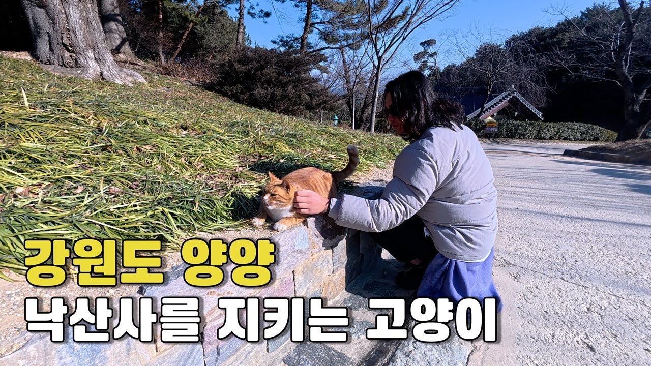 겨울 여행 1픽 강원도 양양 가보기(with 강원도 쉬었음 청년) - 강원도 양양(1/3)