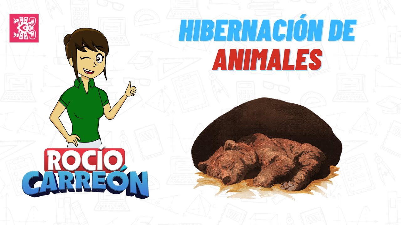 HIBERNACIÓN DE ANIMALES - Cómo los animales sobreviven al invierno