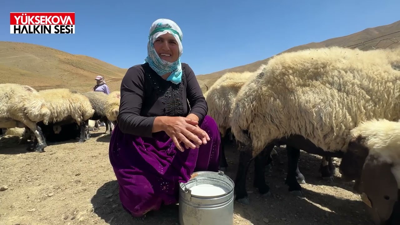 Yüksekova’daki Berivan’ların zorlu yaşam mücadelesi