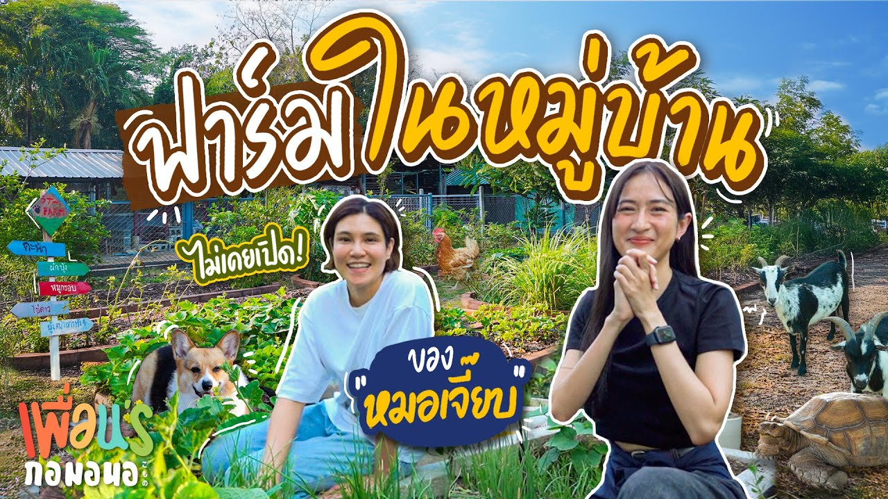 บุกฟาร์มในหมู่บ้านของ “หมอเจี๊ยบ ลลนา” มีเต่า มีแพะ มีทุกอย่างที่อยากได้ | เพื่อน's กอมอนอ