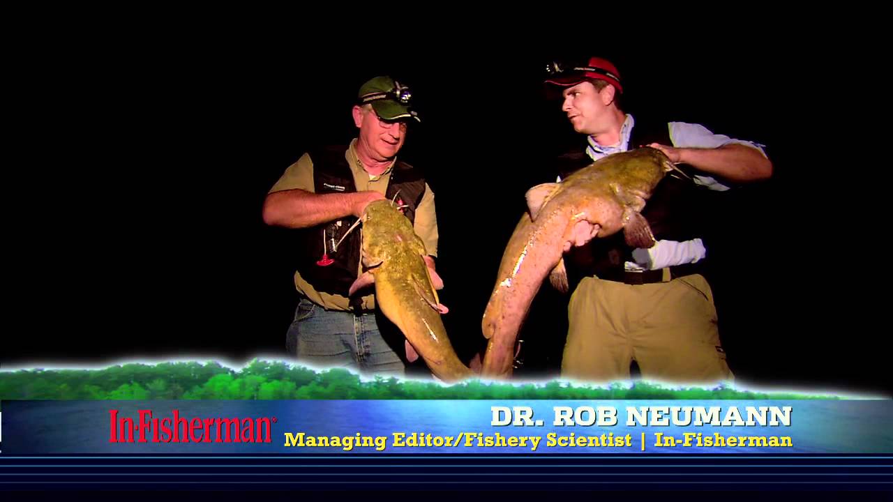 Trophy Flathead Catfish Action!