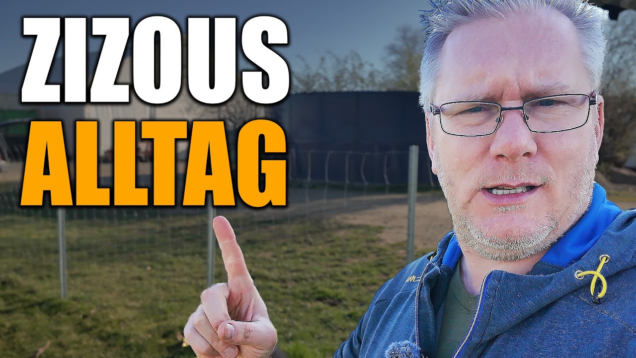 Rudelf&uuml;tterung, Bauma&szlig;nahmen und Hundetraining - Vlog