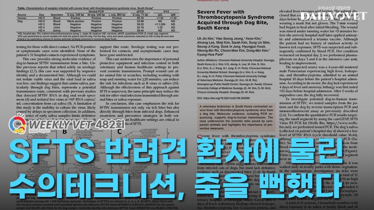 [위클리벳 482회] 반려견에 물린 동물병원 의료진, SFTS로 죽을 뻔했다