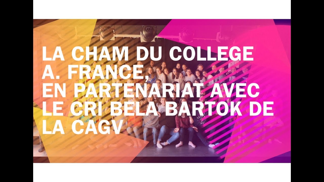 Clip/reportage des classes Cham du coll&egrave;ge A. France et du C.R.I B&eacute;la Bart&oacute;k