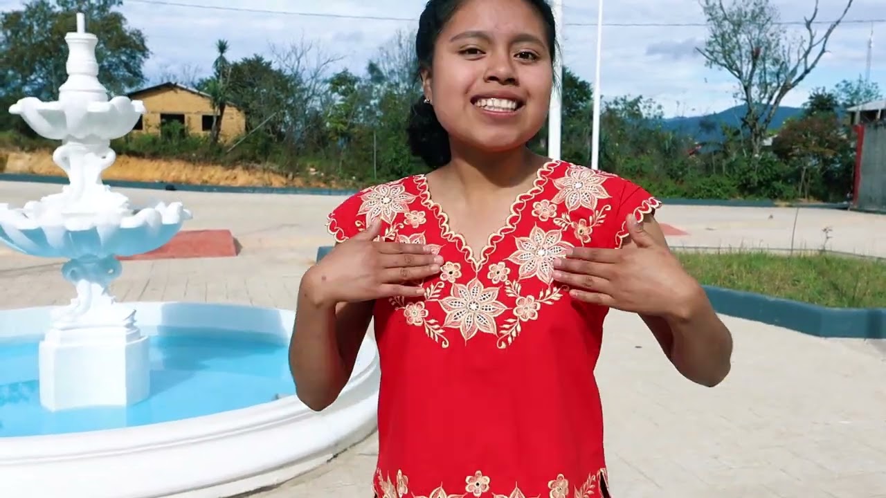 🔴Grupo Zenik´s de Guerrero // Ritmo Sensacional🔥