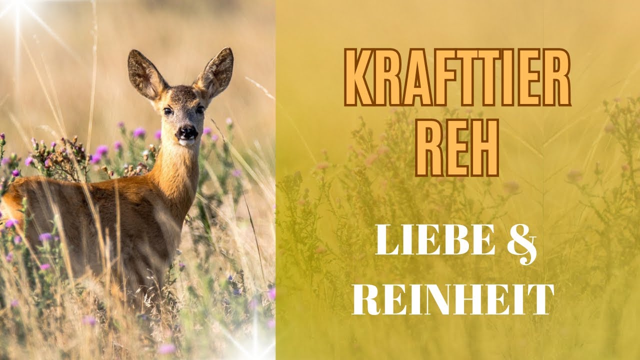 Schamanisches Krafttier REH