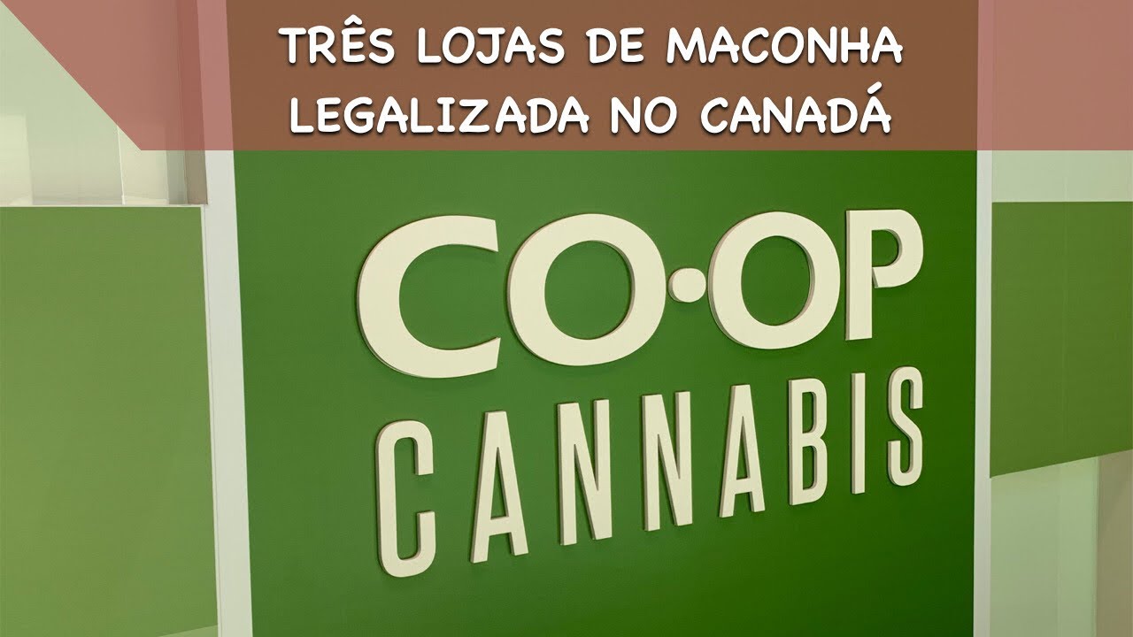 CONHE&Ccedil;A 3 LOJAS DE MACONHA LEGALIZADA NO CANAD&Aacute;
