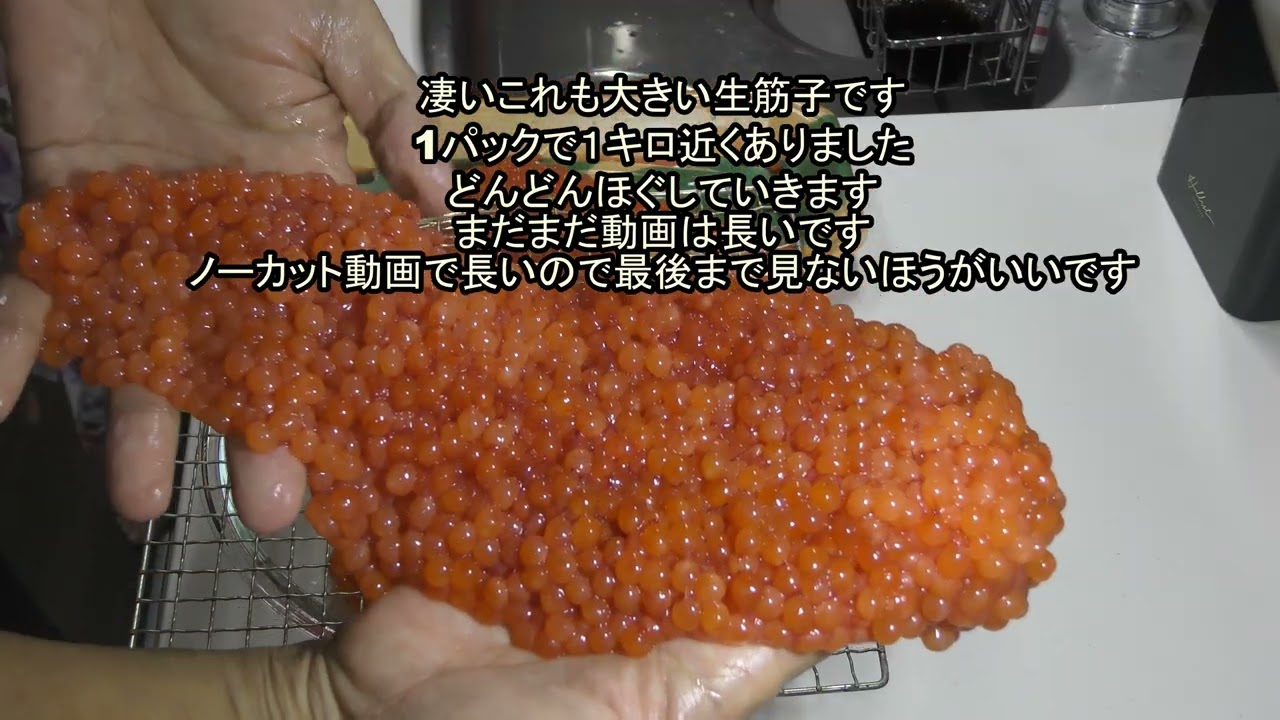 食欲の秋　今が旬の生筋子1. 8キロから大量のイクラを作ってみた　Delicious Japanese salmon roe