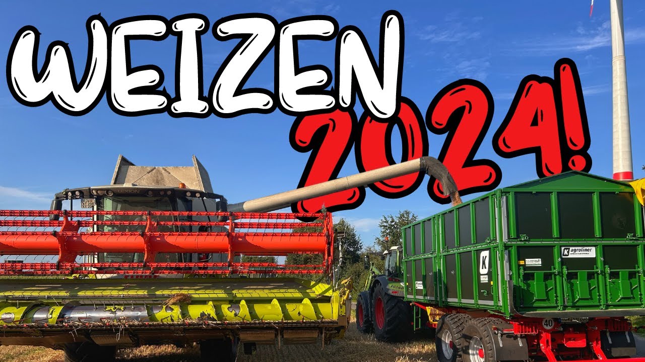 480: Weizenernte 2024 mit miesem Ertrag. 🤷🏼 | Wer von Euch gewinnt die DJI Kamera? 🤩