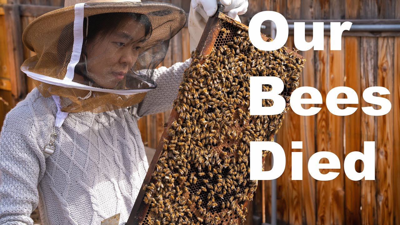 News Bees for 2022 (3-24-22)