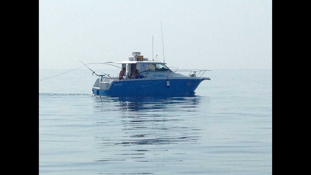 VEDETTE JEANNEAU ALBATROS 800 by Languedoc Yachts
