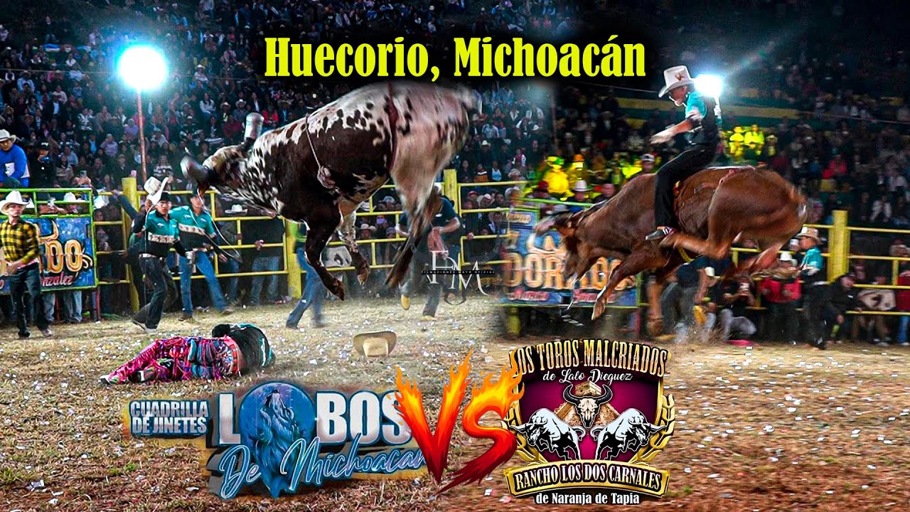 La Fresa salió NOQUEADO. 😱 Rancho Los Dos Carnales de Lalo Dieguez VS Los Lobos de Michoacán.