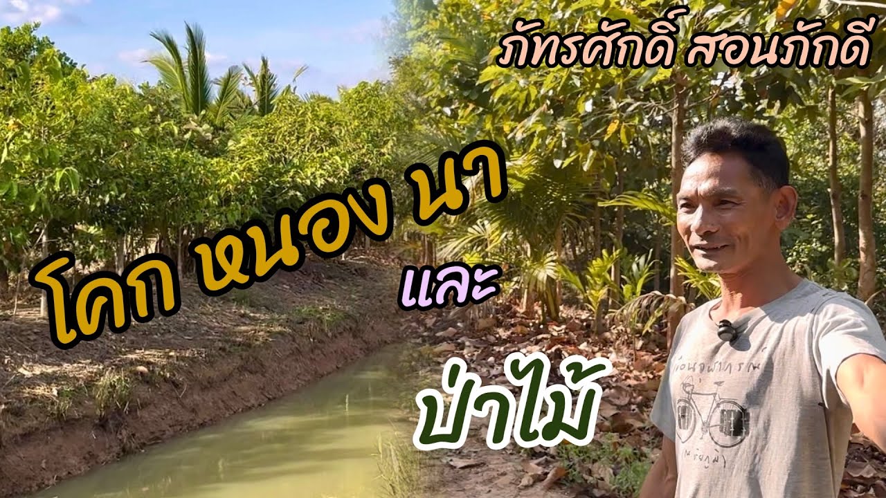 เยี่ยมชมโคก-หนอง-นาและป่าไม้