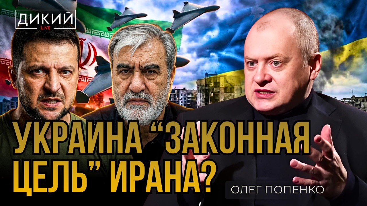НИКАКИХ ПРЯНИКОВ — ТОЛЬКО КНУТЫ. ОЛЕГ ПОПЕНКО | ДИКИЙ LIVE