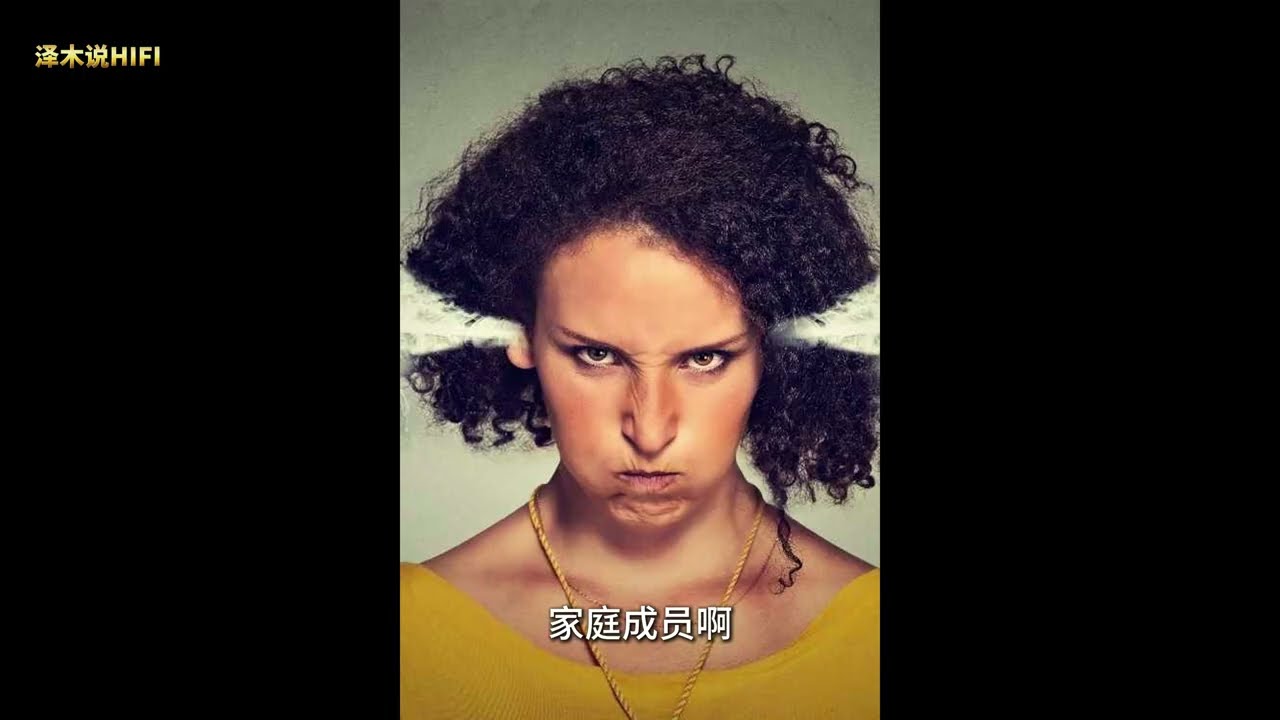 为什么中国没有顶级的HIFI品牌（功放篇）及 HIFI功放概念的重新定义 Why China does not have a top HIFI brand (amplifier)