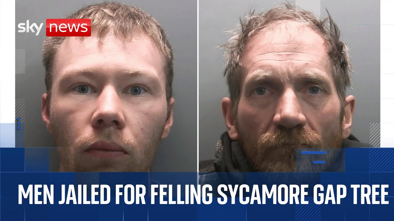 Two men who cut down famous Sycamore Gap sentenced | Cameras in court
