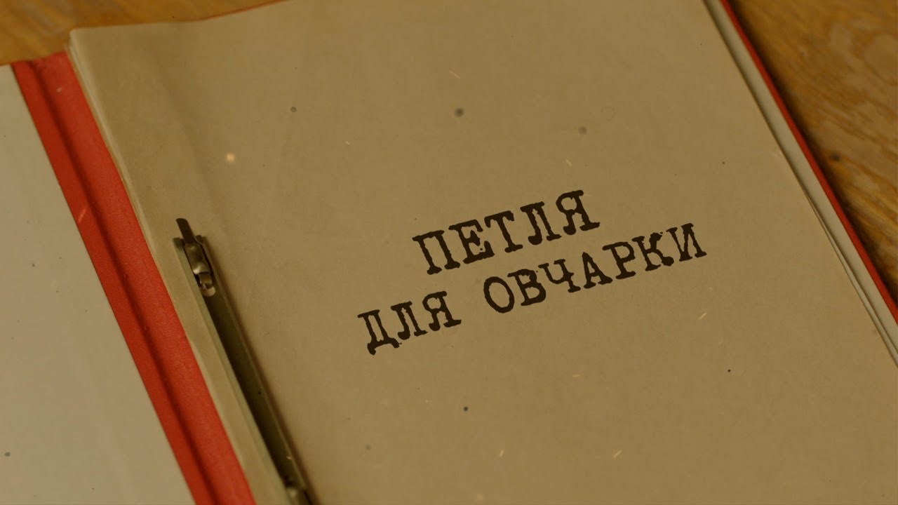 Петля для овчарки | Вещдок. Особый случай. По ту сторону фронта