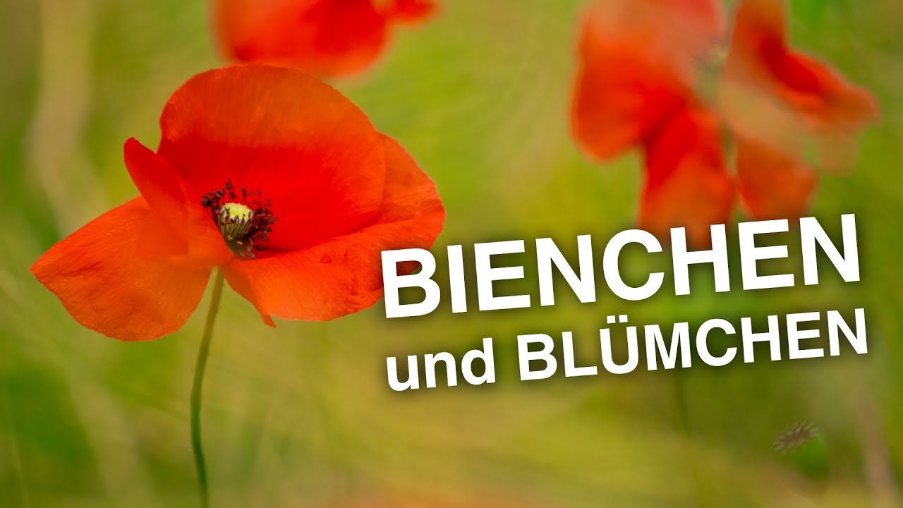 Botanischer Garten Hamburg Klein Flottbek