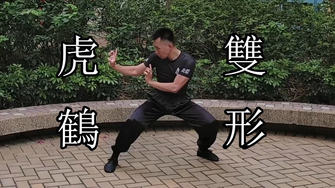 虎鶴雙形拳 - 嶺南洪拳虎鶴派 | 4k60 | Hung Gar Kung Fu Tiger Crane Style Tiger Crane Fist