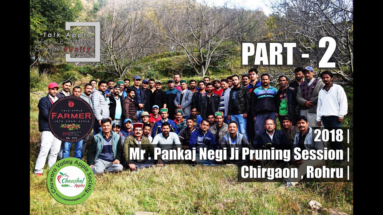 2018 | Mr. Pankaj Negi Ji&rsquo;s Pruning Session | Chirgaon | Rohru | Part 2 | Lets Grow Apple