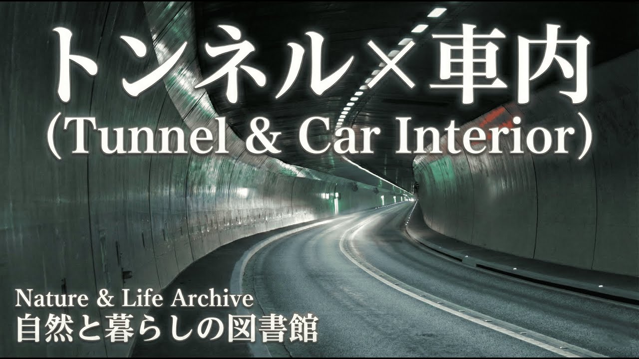 【環境音】深夜のトンネルドライブ（Night Drive in Tunnel Ambience）