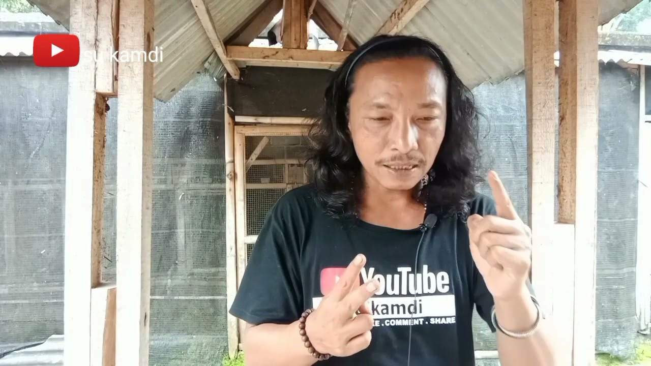 TIPS..!! AGAR BURUNG CEPAT PRODUKSI..!! AGAR BURUNG INDUKAN CEPAT BERTELUR..!! - @SukamdiChannel