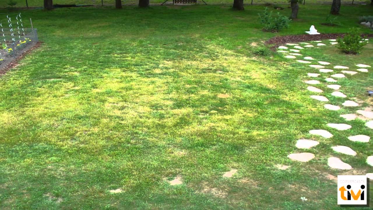Vers Land, Elevage de vers de terre - Producteur de Lombricompost à Trégomeur (22) TiVi Guide