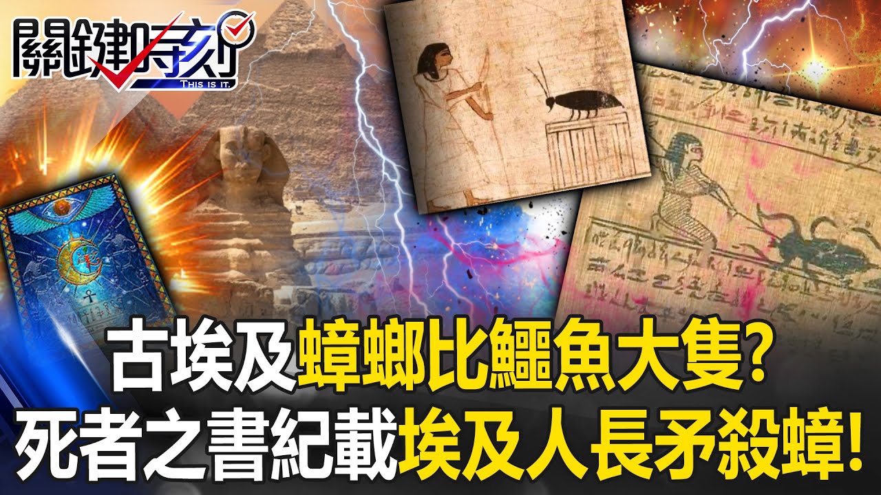 古埃及蟑螂比鱷魚大隻！？ 死者之書紀載埃及人「長矛殺蟑」神秘咒文殺蟲！【關鍵時刻】20250429-6 張炤和 林裕豐