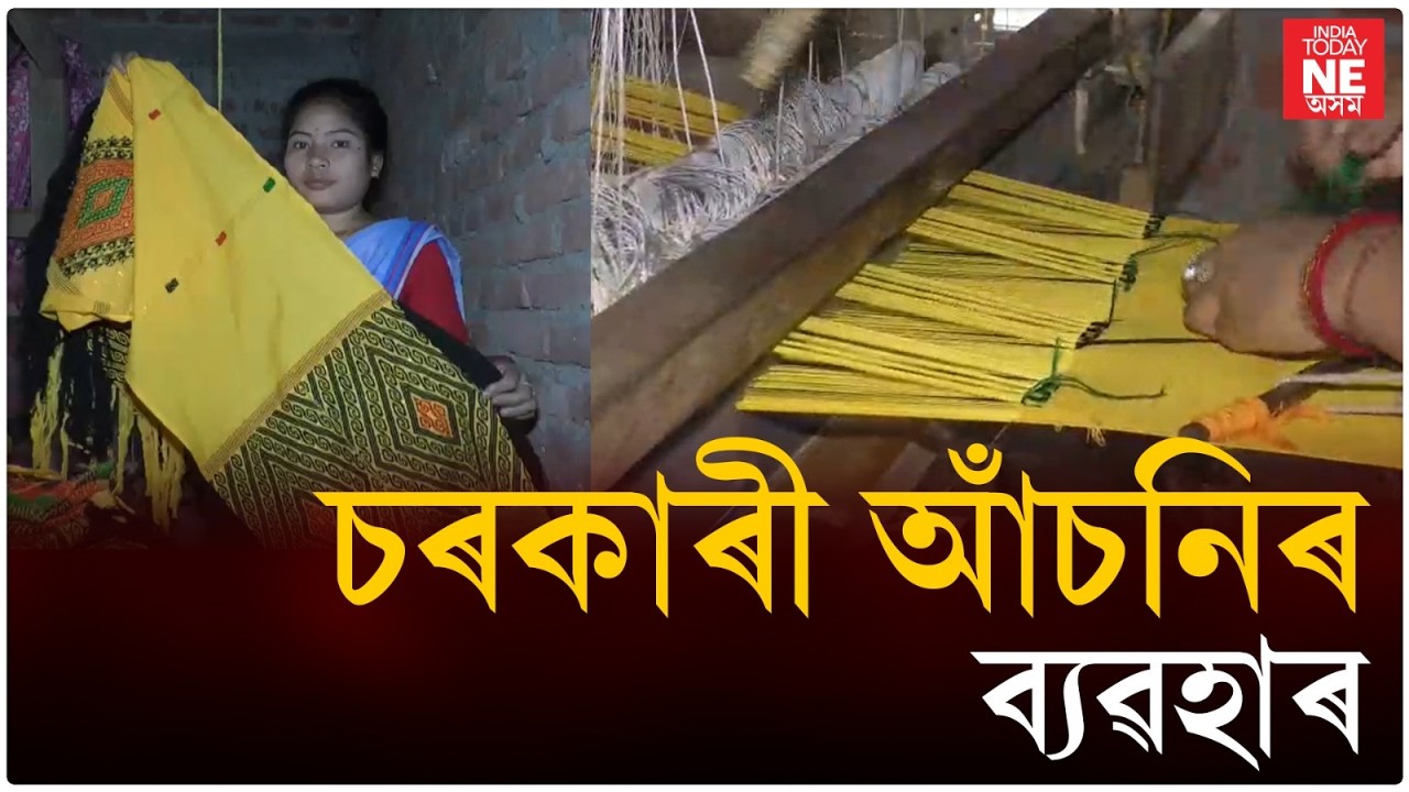 অসম চৰকাৰৰ আঁচনিৰে কেনেকৈ স্বাৱলম্বী হৈছে অসমীয়া মহিলা?